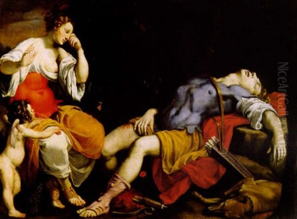 Venere E Adone - view 1