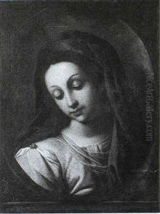 The Madonna The Madonna