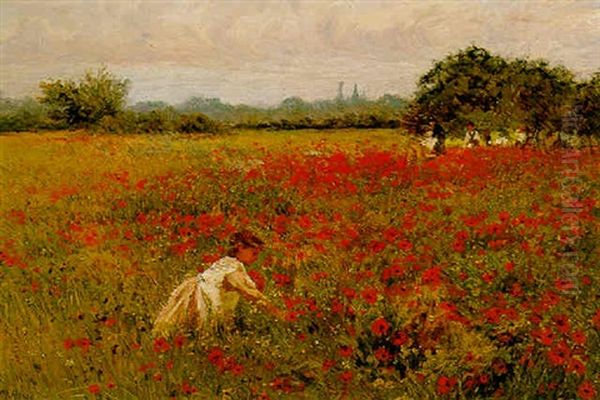 The Poppy Field - view 1