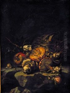 Nature Morte Aux Champignons by Angelo Maria Rossi