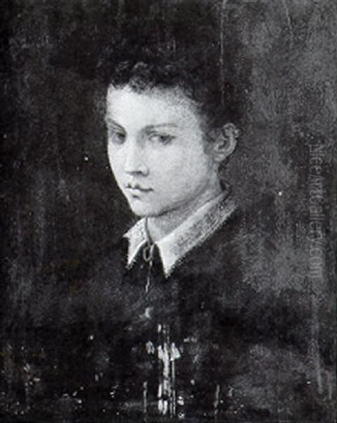 Portrait Of A Young Boy - view 1