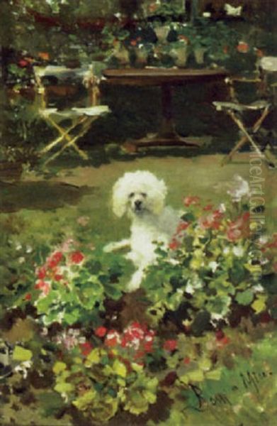 Poodle In A Flower Garden - view 1