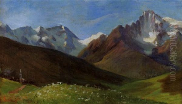 Gebirgslandschaft Mit Fernem Dorf Und Blumenwiese - view 1