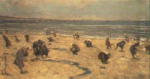 La Raccolta Delle Telline