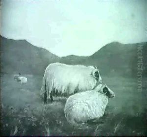 Wooly Rams by Louis Rossiter