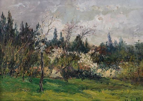 Primavera Sulle Colline Di Torino - view 1