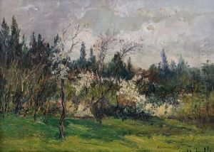 Primavera Sulle Colline Di Torino
