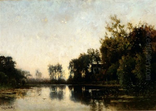 Trees Reflecting In A Pond - view 1