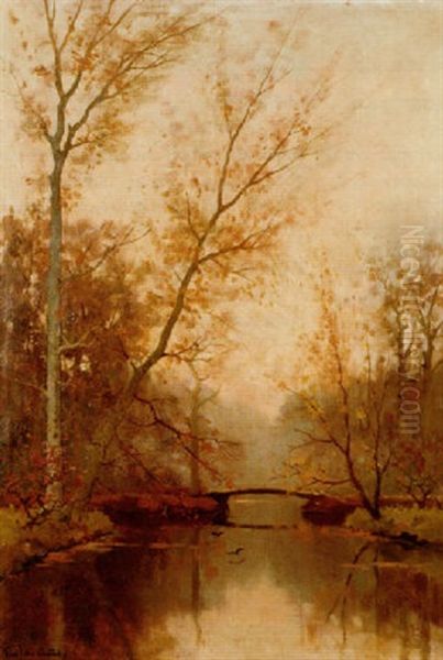 In Het Haagsche Bos - view 1