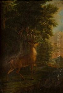 Un Cerf Et Une Harde Dans Un Sous Bois by Johann Lorenz Rotermund