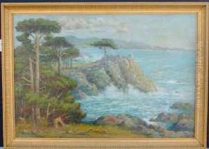 Monterey Coastal - Seventeen Mile Drive