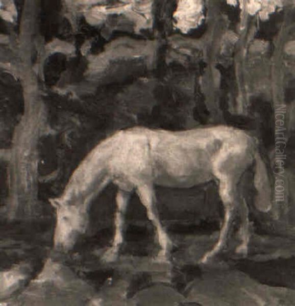 Grasendes Pferd - view 1