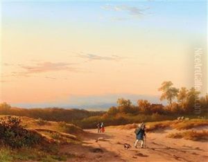 Broad Sunlit Landscape