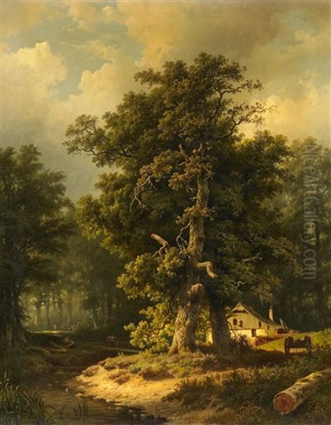 Grose Waldlandschaft Mit Einer Eiche Im Vordergrund - view 1