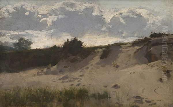 Sanddunen - view 1