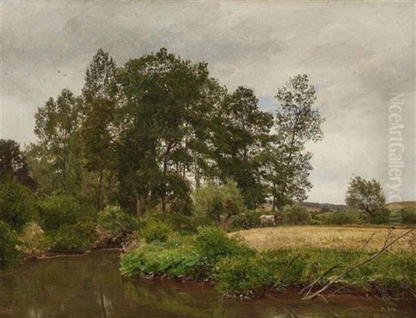Group Of Trees Near Erkrath (duesseldorf) - view 1