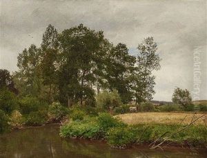 Group Of Trees Near Erkrath (duesseldorf) by Philipp Roeth