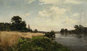 Sommermorgen An Der Amper by Philipp Roeth