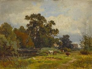 Kuhe Am Bachlauf