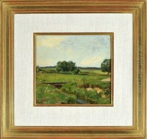 Wiesenlandschaft Mit Bachlauf