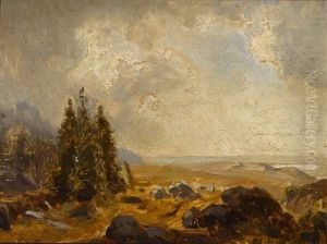 Felslandschaft