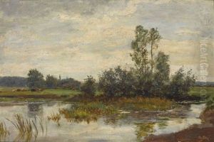 Moorlandschaft Mit Weidenden Kuhen
