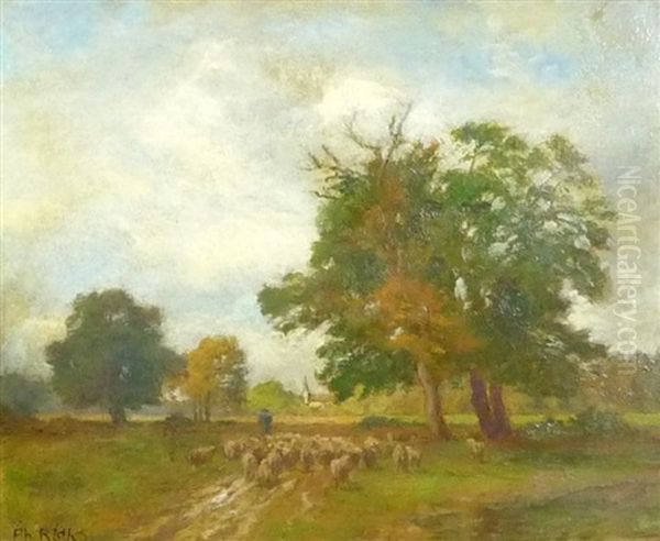 Schafer Mit Seiner Herde Auf Einem Feldweg - view 1