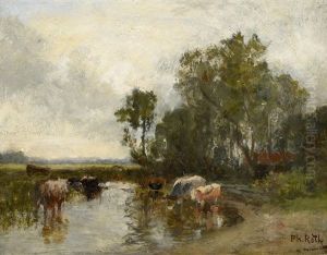 Kuhe Am Fluss