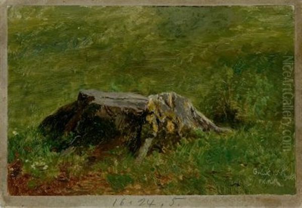 Baumstumpf (study) - view 1