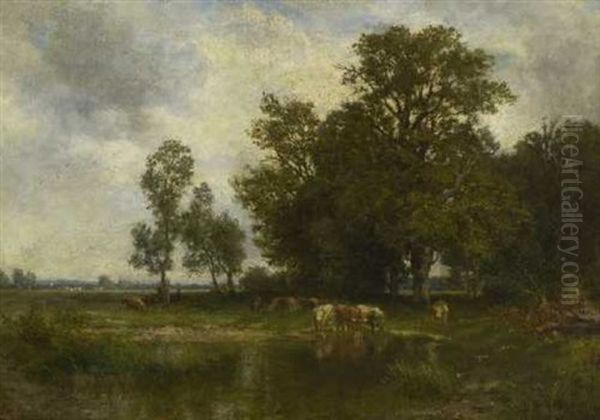 Rinder Am Wasser In Baumlandschaft - view 1