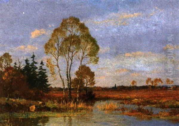 Herbstliche Moorlandschaft - view 1