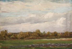 Baumlandschaft Baumlandschaft