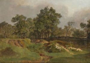 Landschaftsstudie Landschaftsstudie