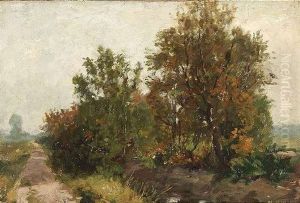 Herbstliche Baume Am Rande Eines Feldweges