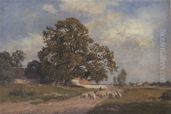 Sommerliche Landschaft Mit Schafherde - view 1