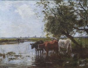 Kuhe Am Wasser by Philipp Roeth