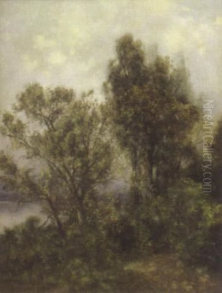 Waldpartie - view 1