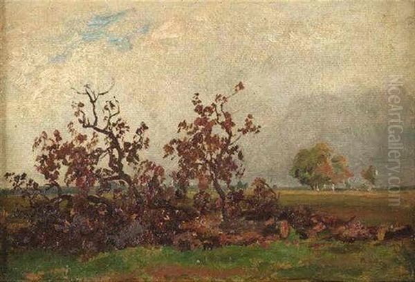 Weite Herbstlandschaft - view 1