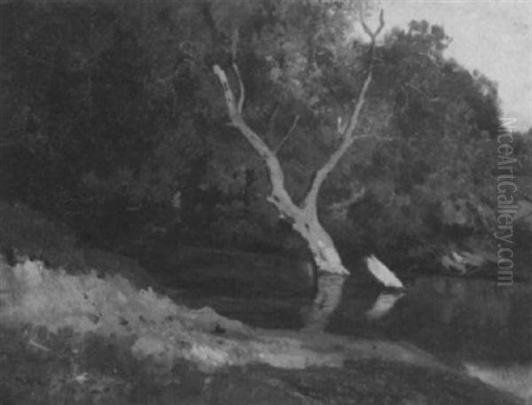Bewaldetes Flusufer - view 1