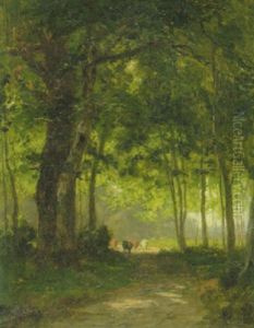 Waldlandschaft Mit Kuhen Auf Der Lichtung Im Mittelgrund Waldlandschaft Mit Kuhen Auf Der Lichtung Im Mittelgrund