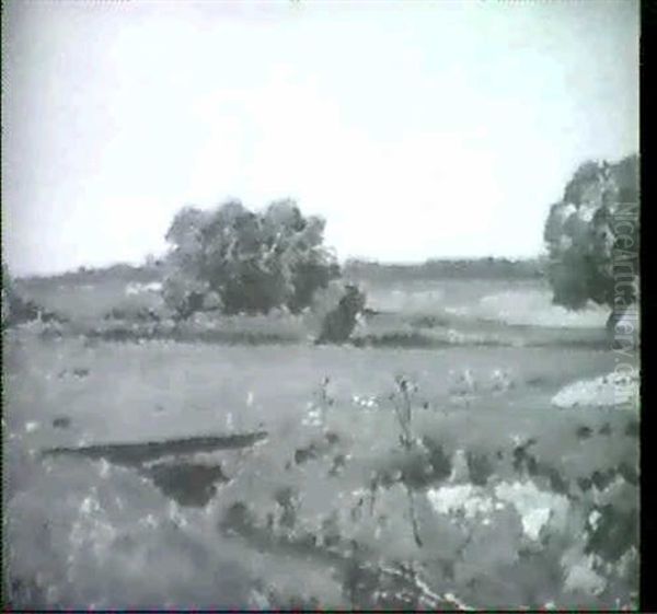 Im Dachauer Moor - view 1