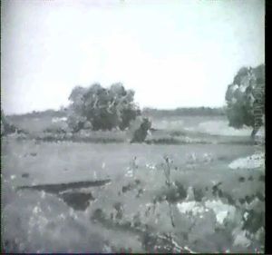 Im Dachauer Moor Im Dachauer Moor