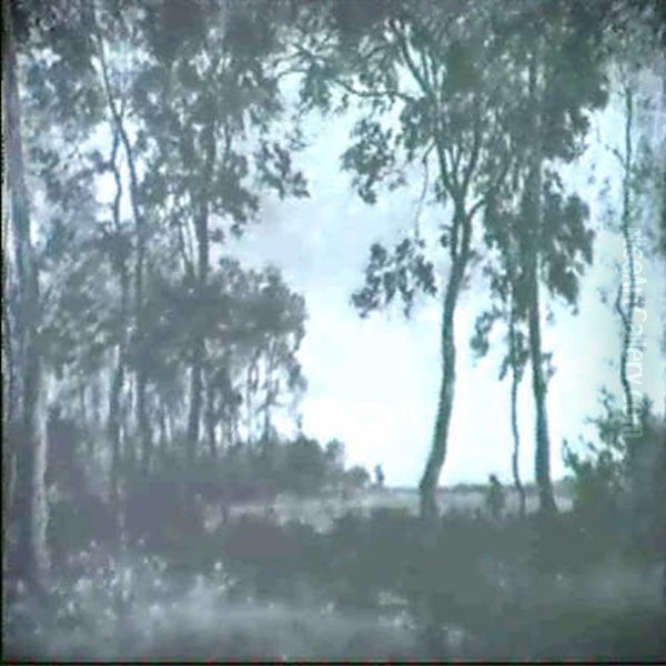 Wanderer Am Waldesrand - view 1