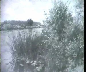 Flusslandschaft Mit Schif Und Seerosen An Einem Hellen      Sommertag