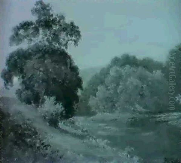Flussblandschaft - view 1