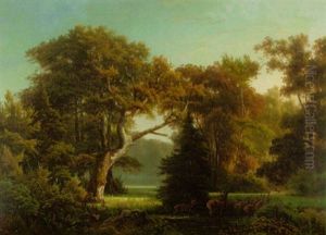 Hirsche Auf Einer Waldlichtung