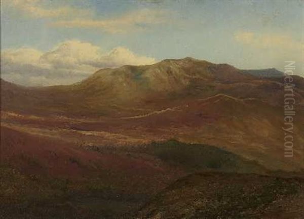 Gebirgslandschaft - view 1
