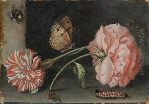 A Pink Rose And A Red And White Carnation On Astone Ledge With A Bee, A Butterfly, A Dragonfly And Acaterpillar by Abraham Bosschaert