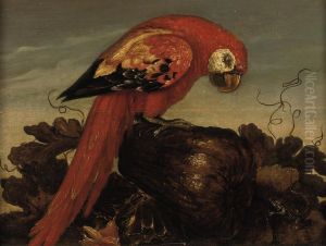 A Parrot Sitting On A Large Vegetable by Abraham Bosschaert