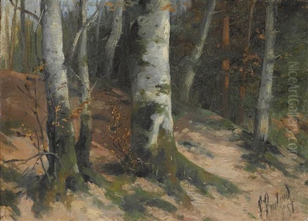 Birkenwald - view 1
